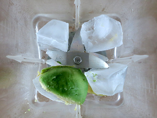 avocado in blender