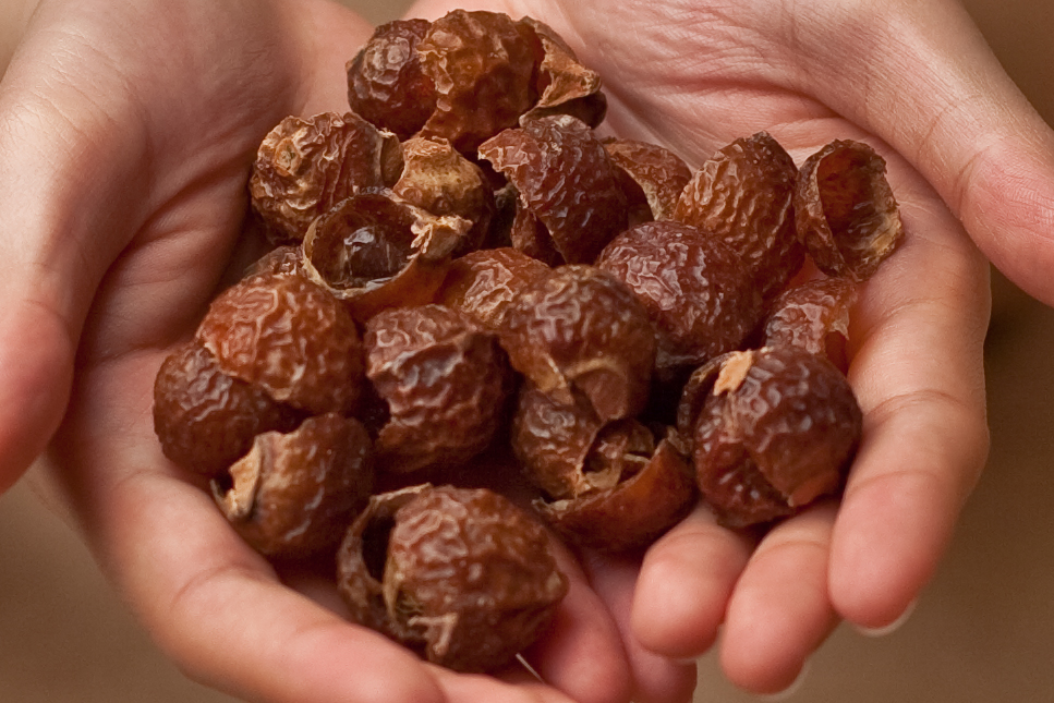 What Are Soap Nuts